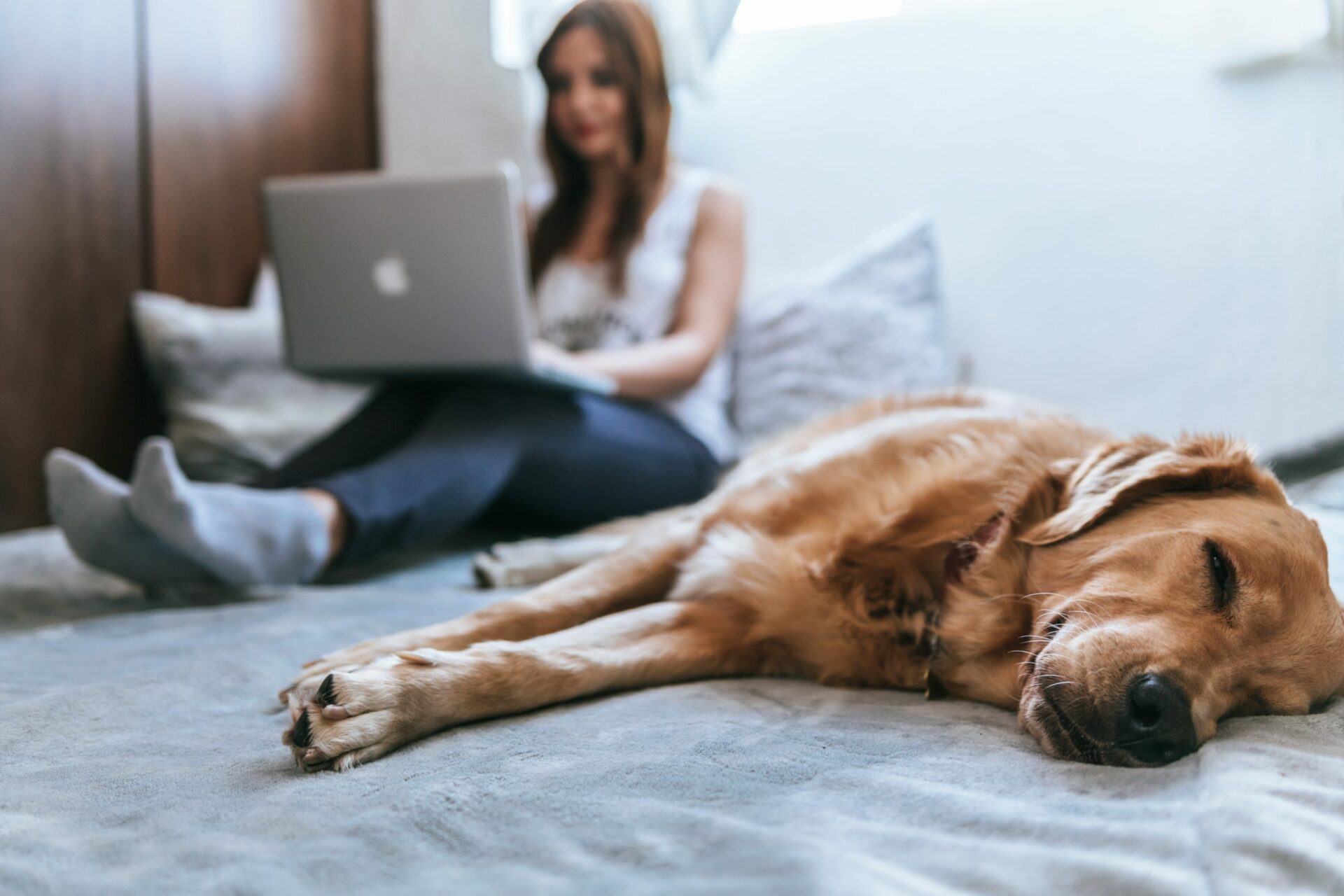 Woman typing on laptop with dog in foreground